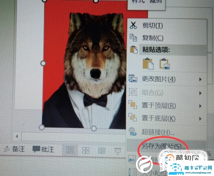 如何给证件照换底色；怎么快速更换证件照底色