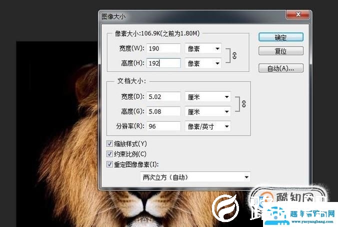 怎么用PS做寸照？