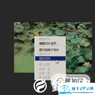 photoshop cc切图
