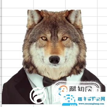 如何给证件照换底色；怎么快速更换证件照底色
