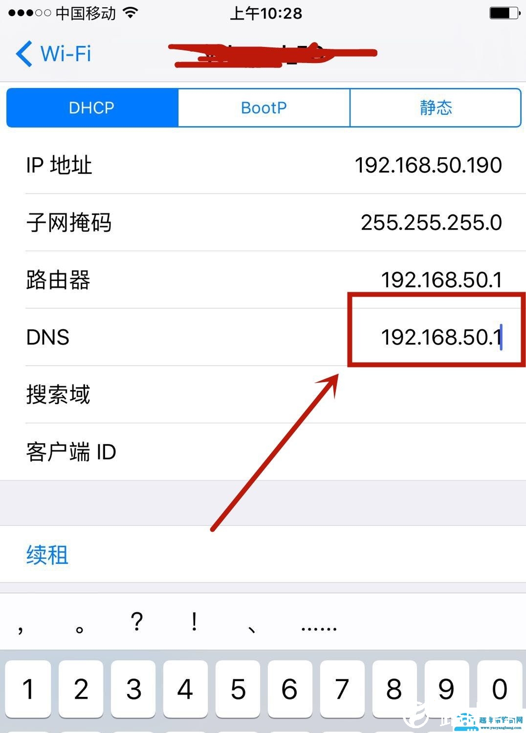 DNS是什么，修改几个数字就能提升网速？
