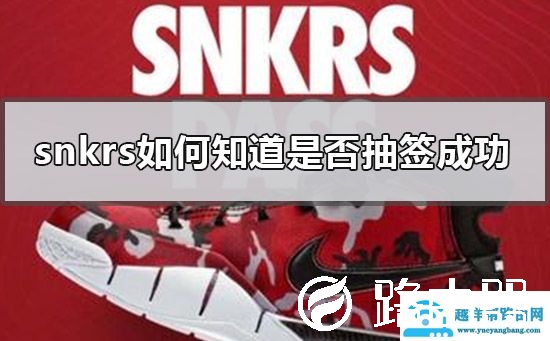 snkrs中签结果查看方法