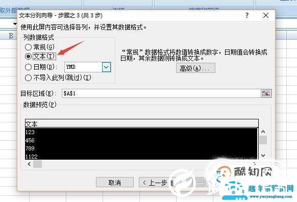 excel文本格式与数字格式的转换