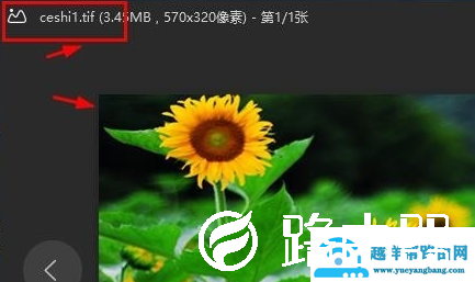 TIF格式如何打开