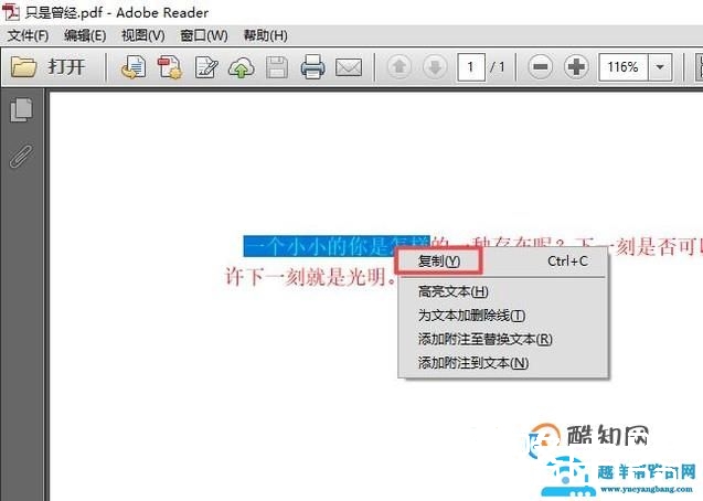 怎么复制pdf文档里面的文字