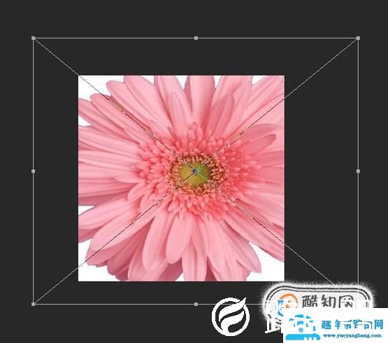 ps中怎么缩放图片大小？