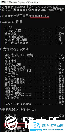 Win10网卡物理地址怎么查看