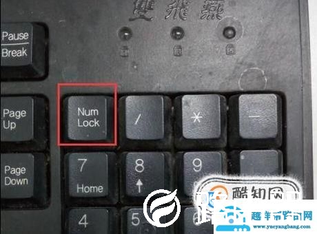 键盘数字键怎么解锁