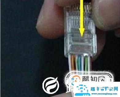 网线钳怎么夹水晶头接网线