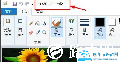 TIF格式如何打开