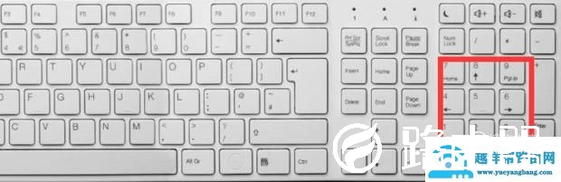 键盘右侧的数字输入不了怎么办