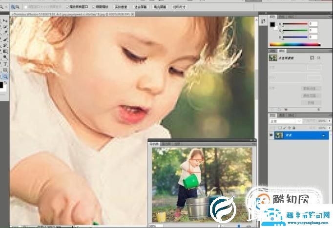 如何使用Photoshop的导航器改变图片的显示比例