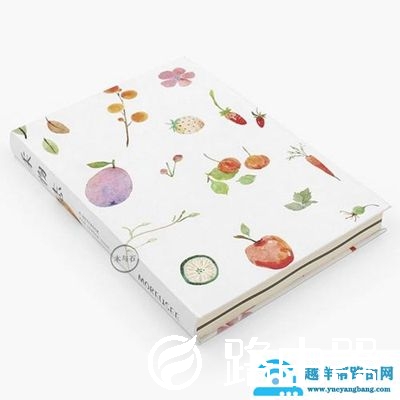 U盘启动盘装系统进不去引导界面