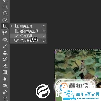 photoshop cc切图