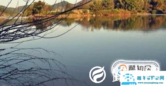 如何清除图片上的水印，有几种方法清除图片水印
