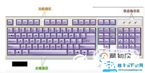 怎样学电脑打字最快电脑新手如何快速学会打字