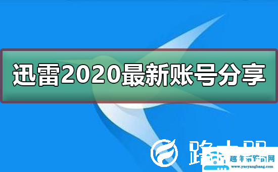 迅雷2020最新免费账号分享