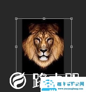 怎么用PS做寸照？