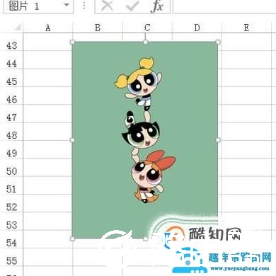 excel里如何为照片换背景色