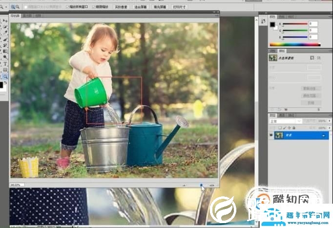 如何使用Photoshop的导航器改变图片的显示比例
