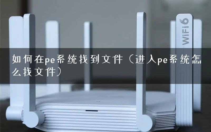 如何在pe系统找到文件（进入pe系统怎么找文件）