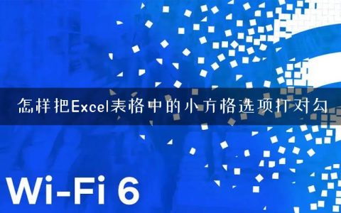怎样把Excel表格中的小方格选项打对勾