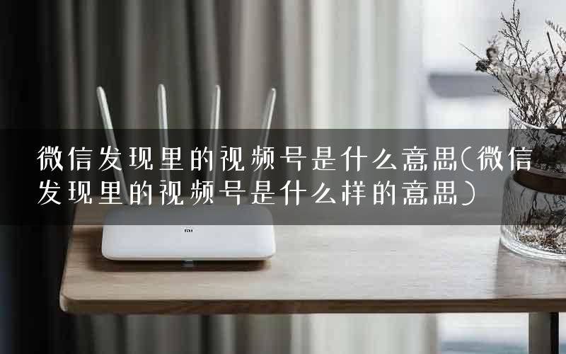 微信发现里的视频号是什么意思(微信发现里的视频号是什么样的意思)