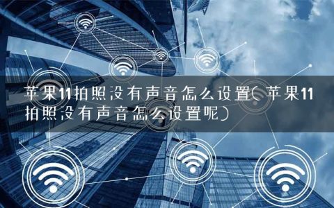 苹果11拍照没有声音怎么设置( 苹果11拍照没有声音怎么设置呢)