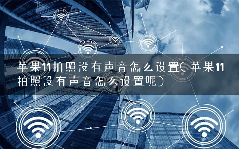 苹果11拍照没有声音怎么设置( 苹果11拍照没有声音怎么设置呢)