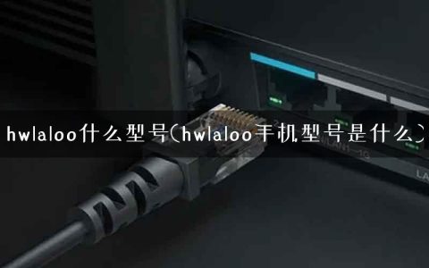 hwlaloo什么型号(hwlaloo手机型号是什么)