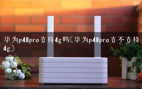 华为p40pro支持4g吗(华为p40pro支不支持4g)