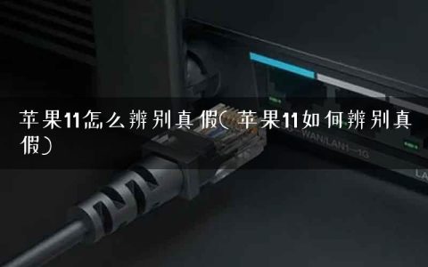 苹果11怎么辨别真假( 苹果11如何辨别真假)