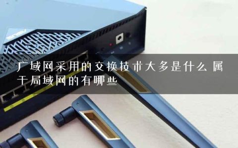 广域网采用的交换技术大多是什么 属于局域网的有哪些