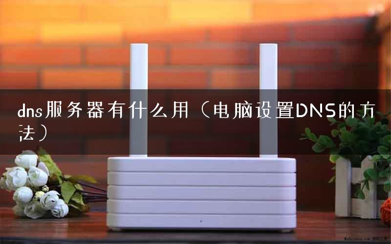 dns服务器有什么用（电脑设置DNS的方法）