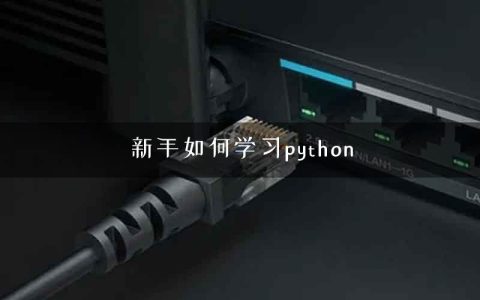新手如何学习python