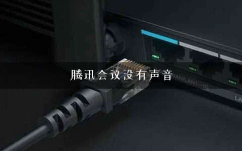 腾讯会议没有声音