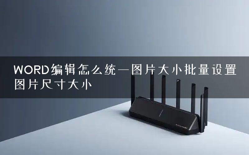 WORD编辑怎么统一图片大小批量设置图片尺寸大小