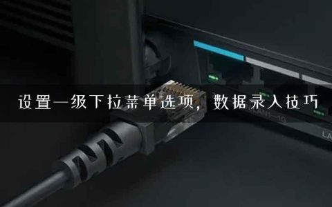 设置一级下拉菜单选项，数据录入技巧