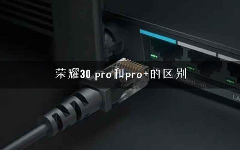 荣耀30 pro和pro+的区别