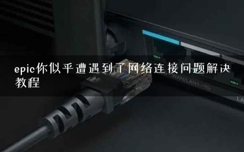 epic你似乎遭遇到了网络连接问题解决教程