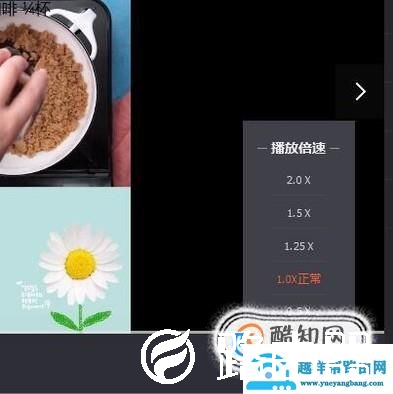 下载到电脑上的视频如何进行倍速播放