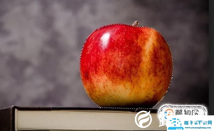 在线图片编辑器怎么制作镜像效果