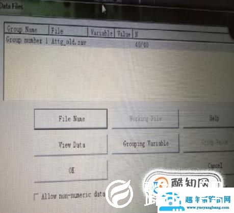 AMOS软件的初认