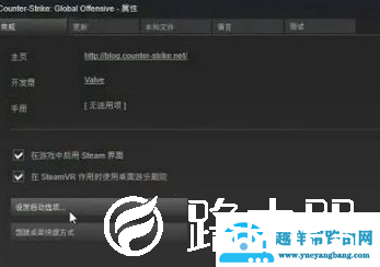 win10玩csgo怎么优化参数设置