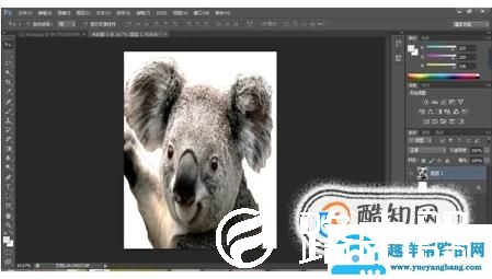 PS如何把照片背景变成白色