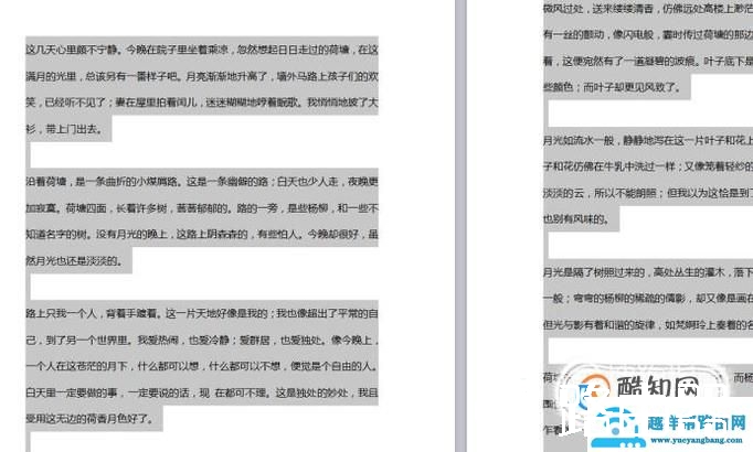 WPS文字怎么设置分栏并排版？