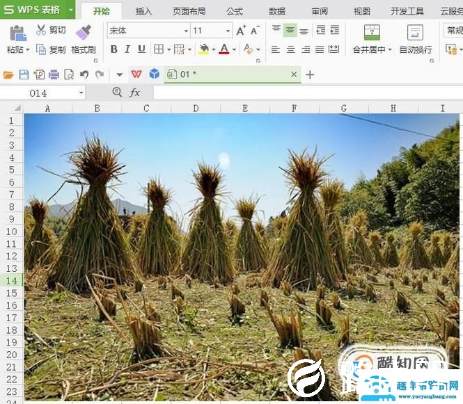 怎样把图片制作成PDF电子文件