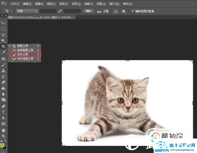怎样用ps把一张图片切割成几张小图片