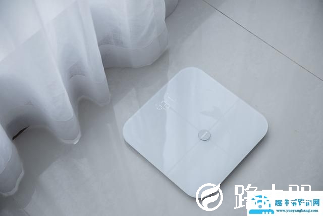 荣耀智能体脂秤WiFi版评测：17项身体指标 比你更懂你