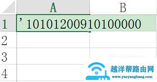 EXCEL中怎么输入身份证号 变成E+17怎么办